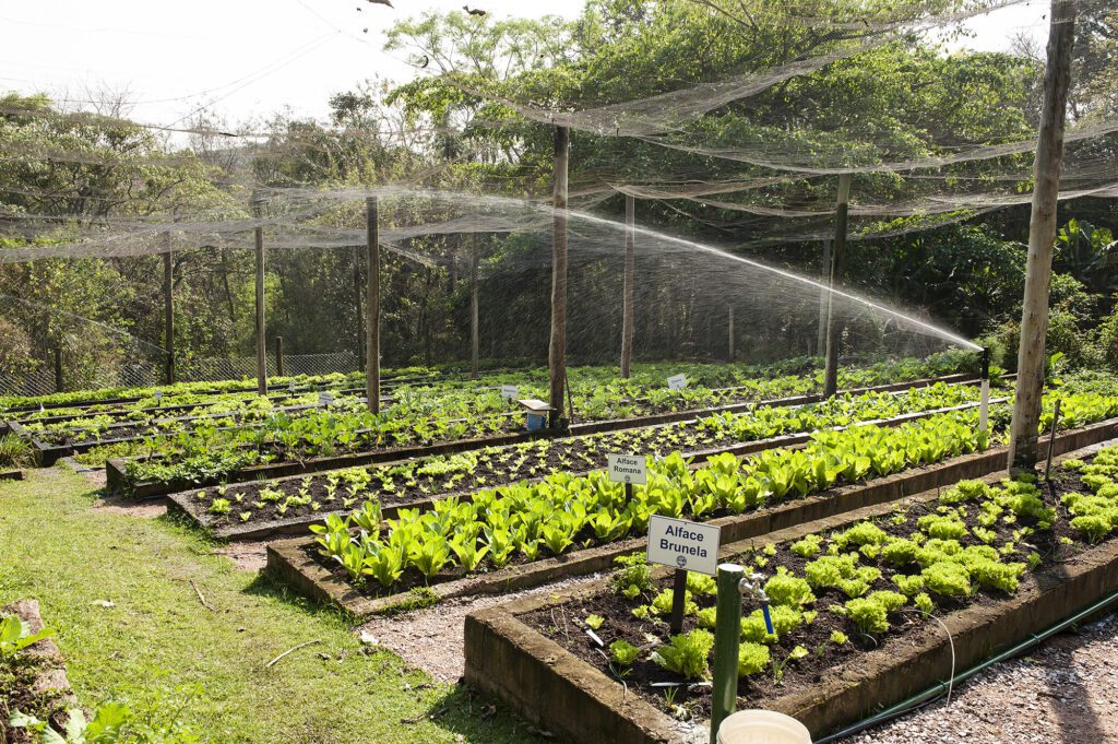 Horta Comunitária CCV