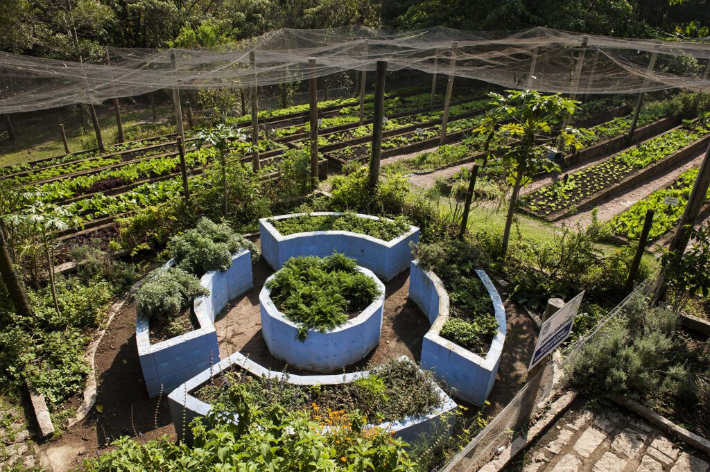 Horta Comunitária CCV