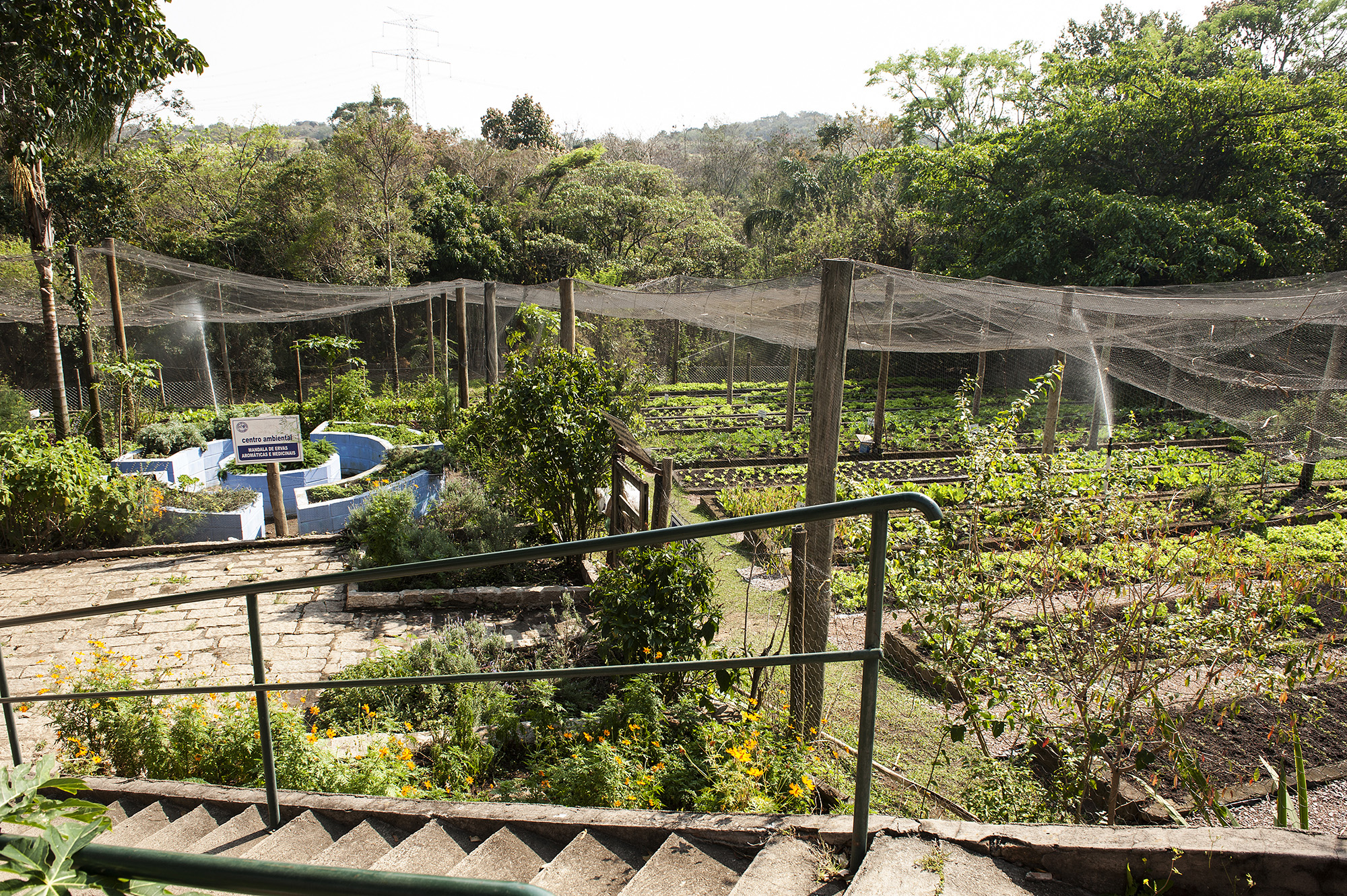 Horta Comunitária CCV