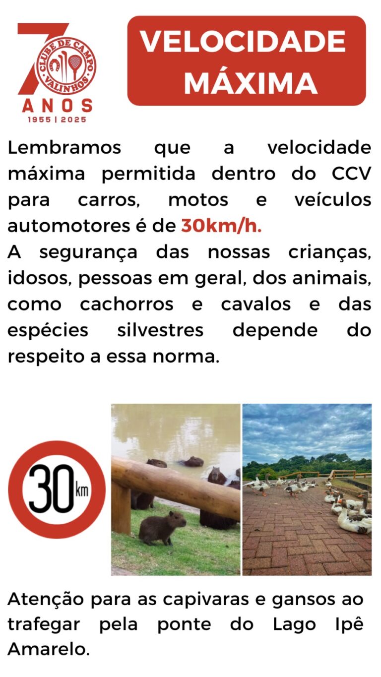 Trânsito CCV