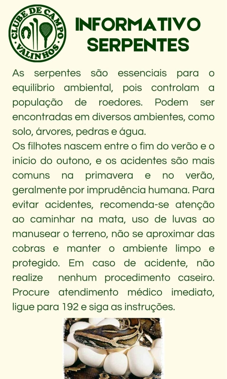 comunicado-serpentes-ccv