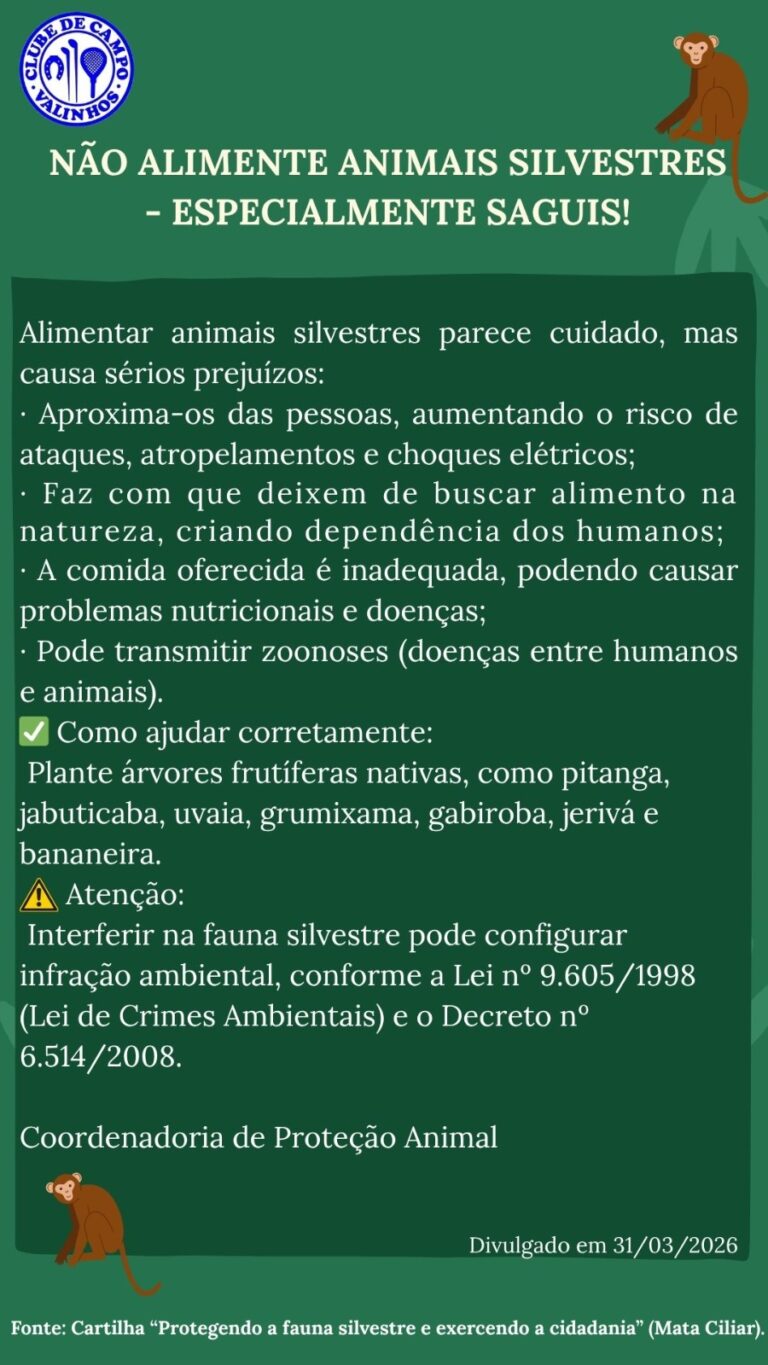 ANIMAIS-SILVESTRES-ALIMENTACAO