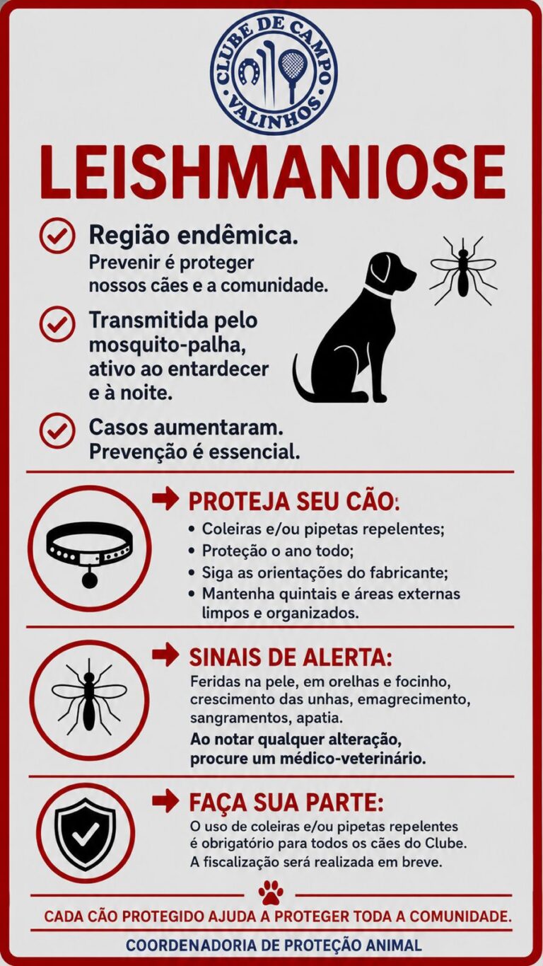leishmaniose
