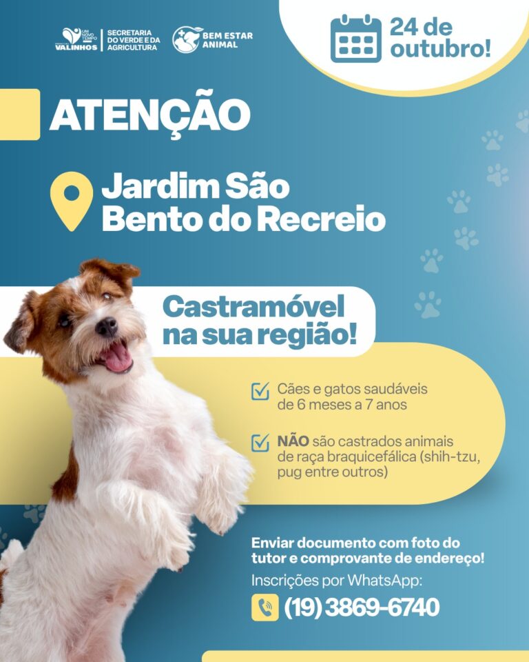 castracao-outubro